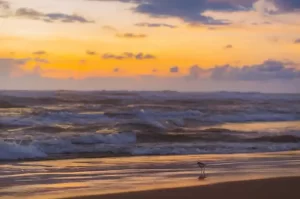 Costa Atlántica para el verano 2025