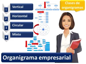 organigrama
