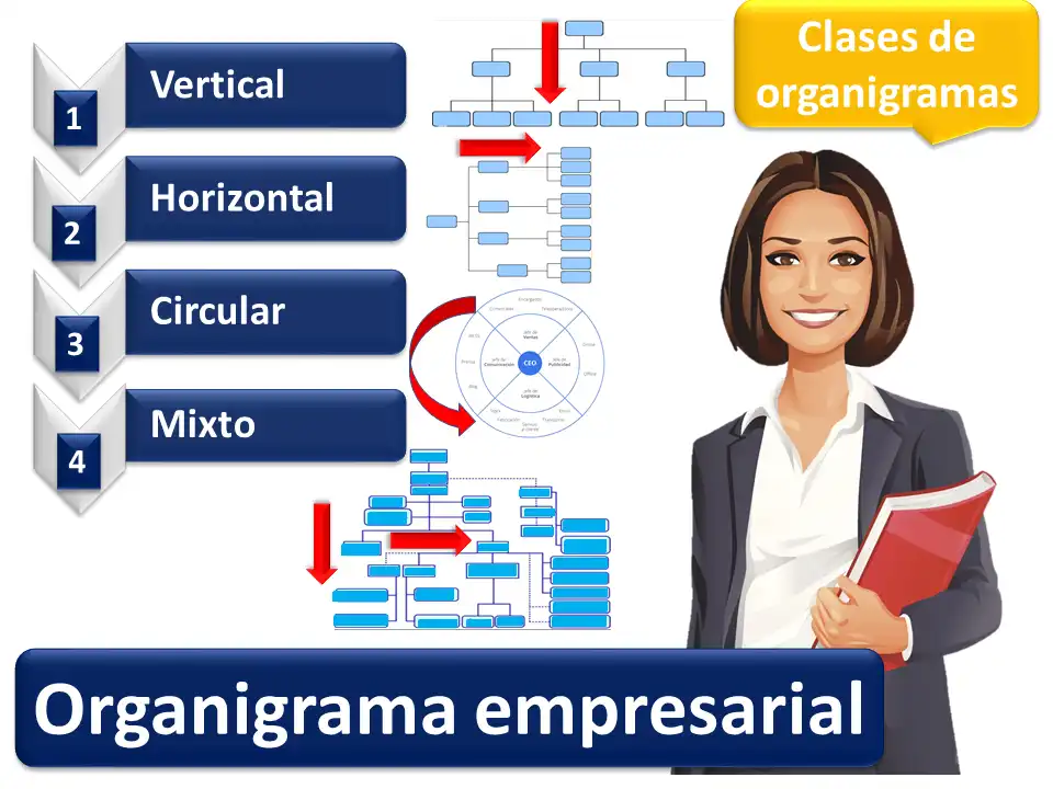 organigrama