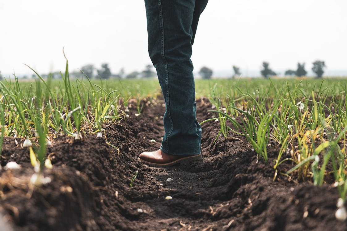 sistemas de agua en el campo