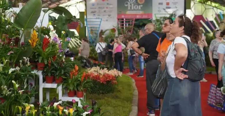 fiesta nacional de la flor